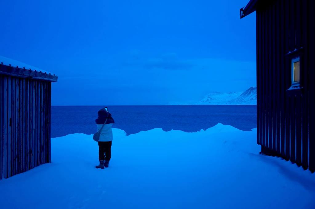 svalbard longyearbern